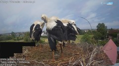 IMG_3405.jpeg