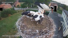IMG_9352.jpeg