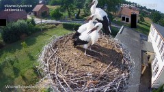 IMG_9516.jpeg