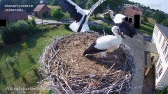 IMG_9535.jpeg