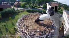 IMG_9537.jpeg