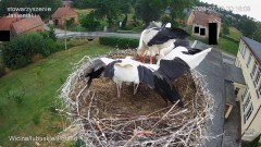 IMG_9562.jpeg