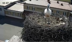 IMG_3411.jpeg