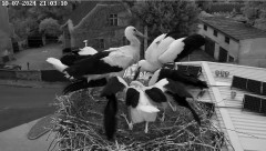 IMG_3439.jpeg