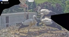 IMG_3124.jpeg