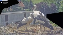 IMG_3136.jpeg