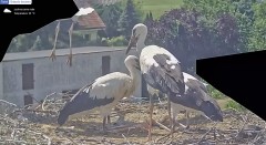 IMG_3140.jpeg