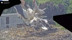 IMG_3146.jpeg
