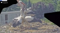 IMG_3154.jpeg
