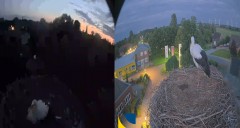 bandicam 2024-07-10 22-45-44-193.jpg
