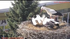 IMG_3089.jpeg