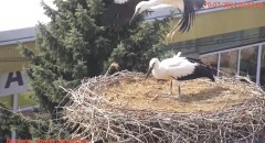 IMG_3112.jpeg
