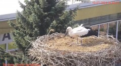 IMG_3117.jpeg