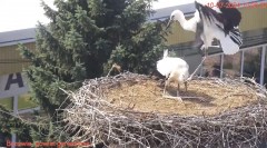 IMG_3082.jpeg
