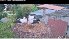 bandicam 2024-07-11 11-10-20-233.jpg