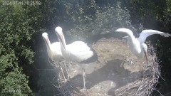IMG_3569.jpeg