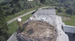 IMG_3662.jpeg