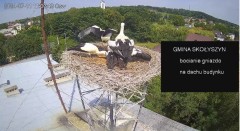IMG_3642.jpeg