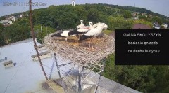 IMG_3643.jpeg