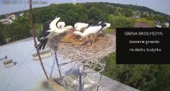 IMG_3644.jpeg