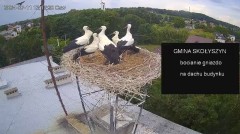 IMG_3654.jpeg