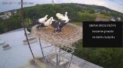 IMG_3650.jpeg