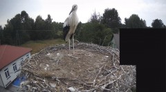 IMG_3855.jpeg
