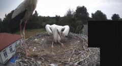 IMG_3857.jpeg