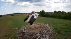 IMG_3828.jpeg