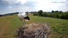 IMG_3839.jpeg