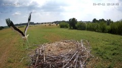IMG_3841.jpeg