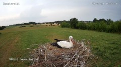 IMG_3848.jpeg