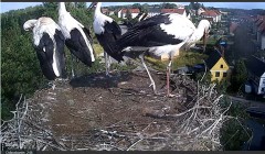 bandicam 2024-07-11 17-53-59-753.jpg