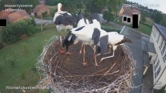 IMG_9578.jpeg