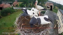 IMG_9609.jpeg