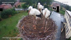 IMG_9658.jpeg