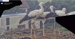 IMG_3928.jpeg