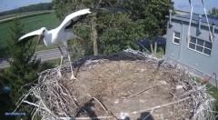 IMG_3954.jpeg