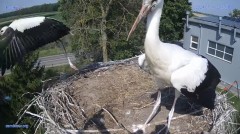 IMG_3956.jpeg