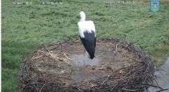 IMG_3821.jpeg