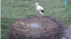 IMG_3869.jpeg