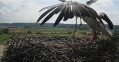 IMG_3629.jpeg