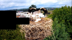 2024-07-11 21_57_06-Odtwarzacz multimedialny.png