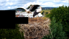 2024-07-11 21_54_37-Odtwarzacz multimedialny.png