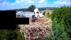 2024-07-11 21_55_56-Odtwarzacz multimedialny.png