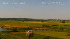 2024-07-11 09_49_13-Bocian LIVE E.1 - YouTube – Maxthon.jpg