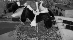 IMG_4048.jpeg