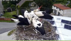 IMG_3683.jpeg