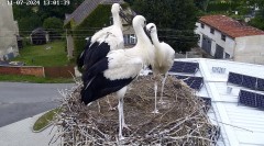 IMG_3588.jpeg
