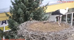 IMG_4063.jpeg
